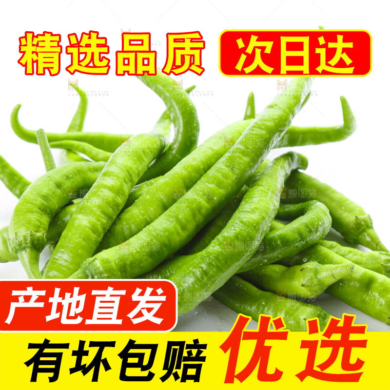 白底上摆放着青尖椒