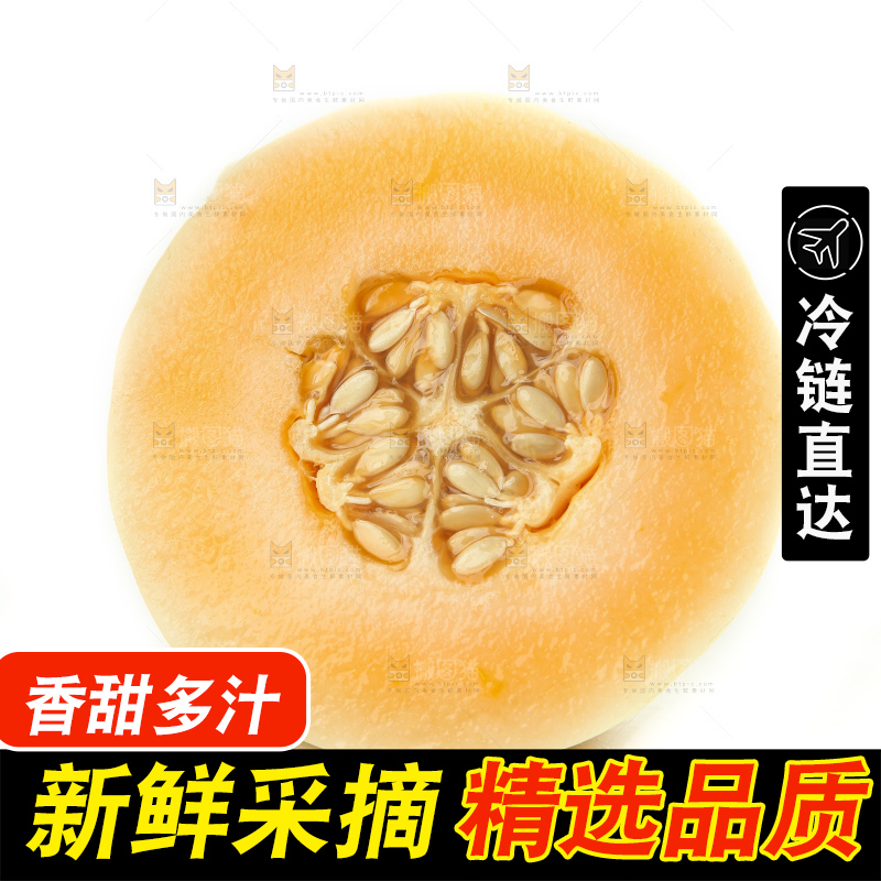 白底上摆放着台州东方蜜一号甜瓜