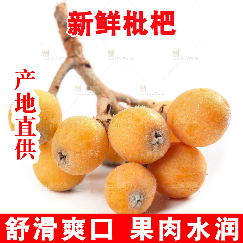 白底上放着云南蒙自枇杷