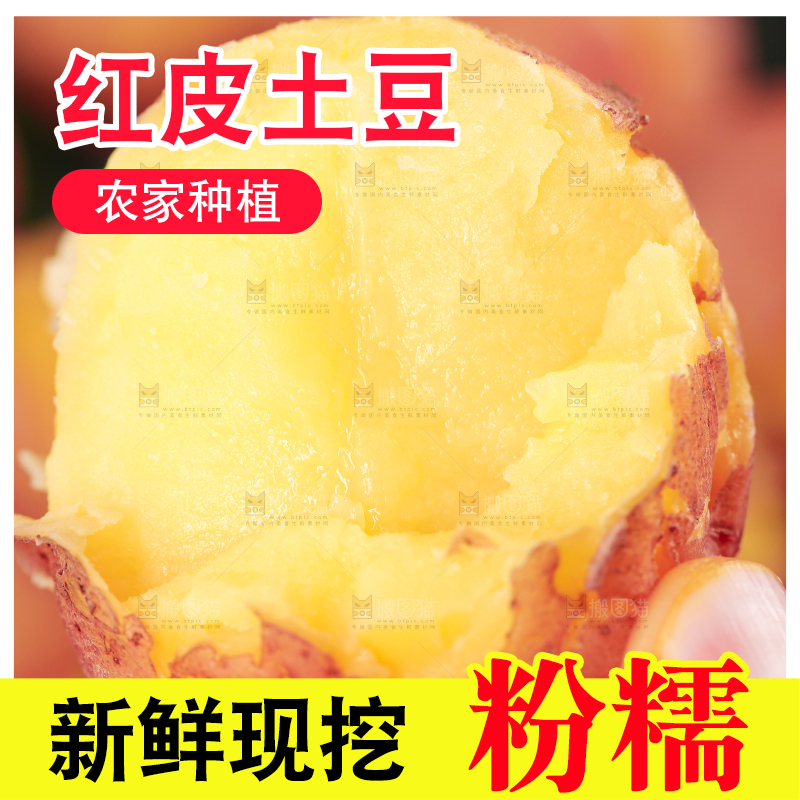 手里拿着红皮黄心土豆