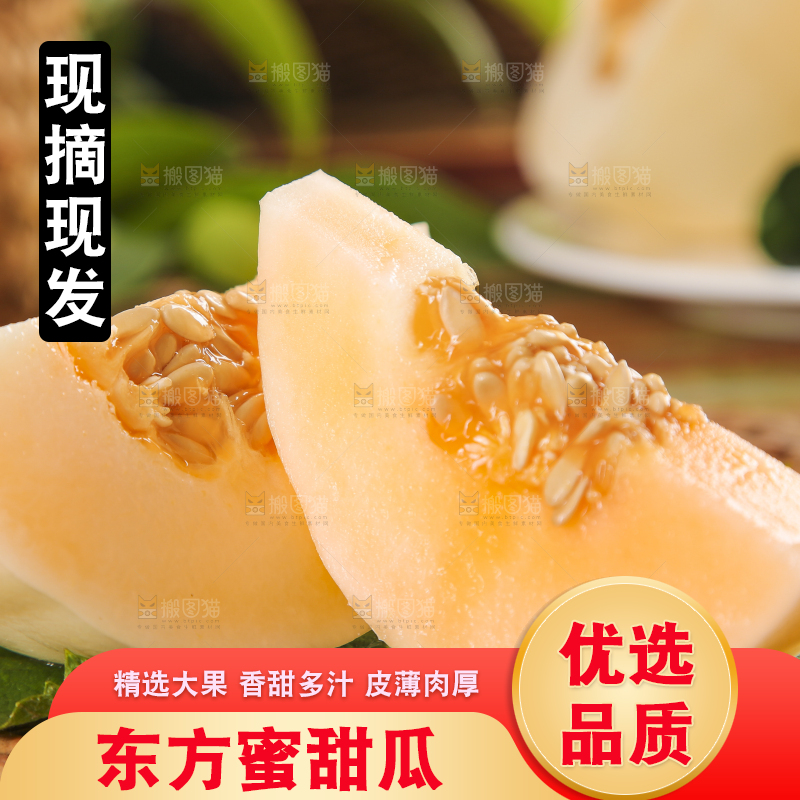 绿叶上放着蜜瓜