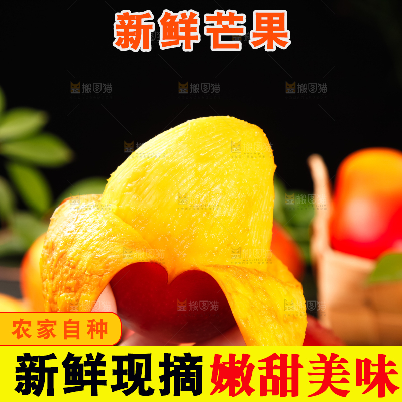 手里拿着吉禄芒果