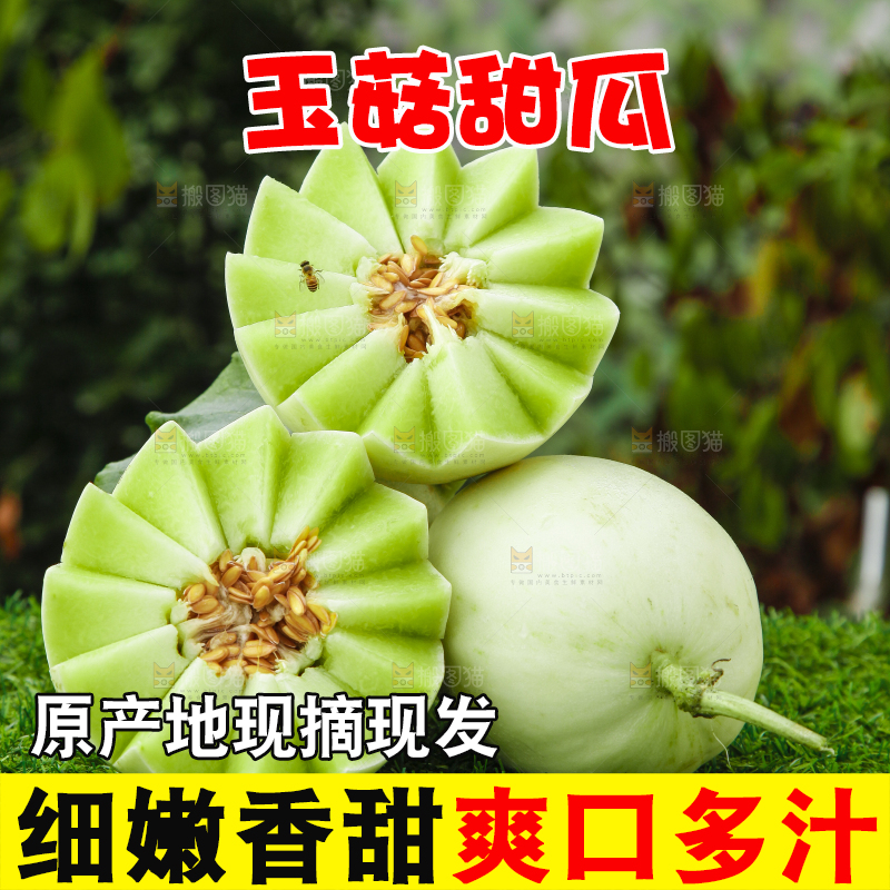 绿草地上摆放着玉菇甜瓜