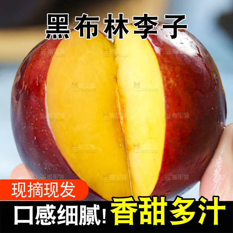 手里拿着陕西黑布林