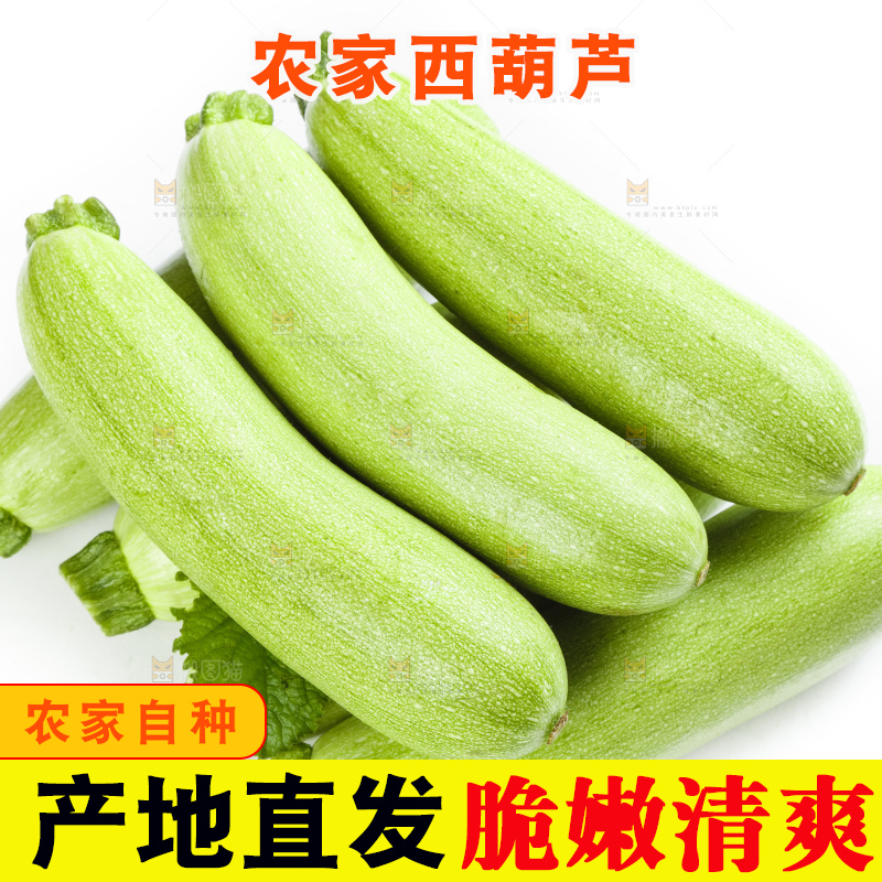 白底上摆放着云南小瓜