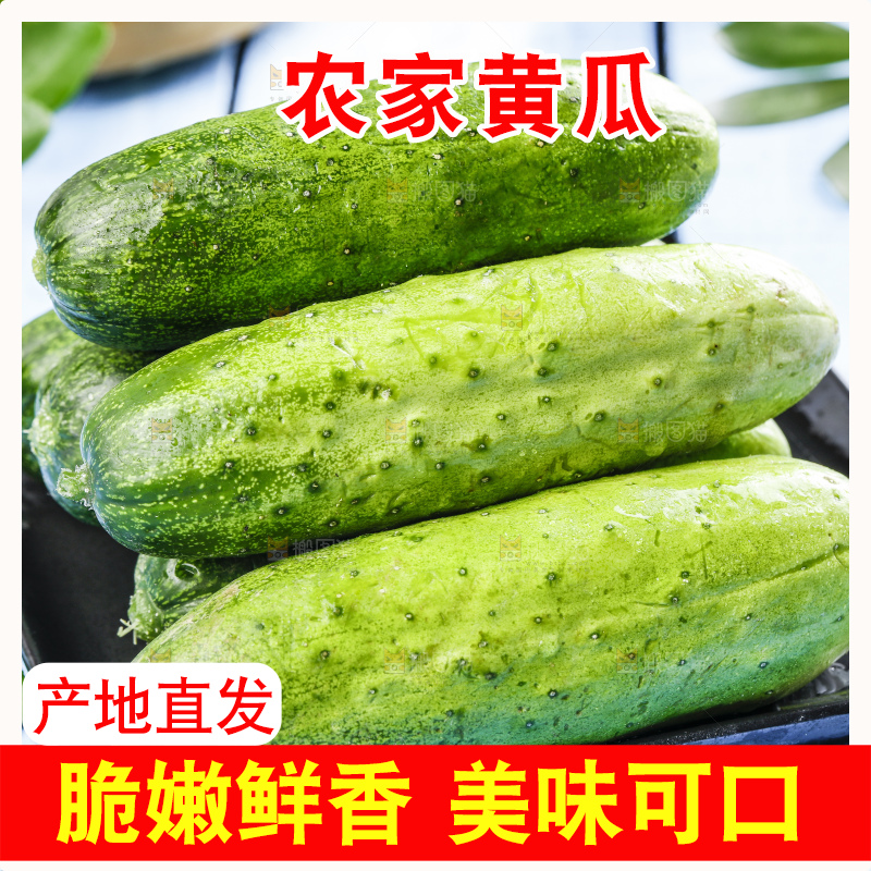 碟子里装着黄瓜