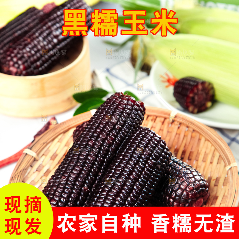 篮子里装着紫黑玉米