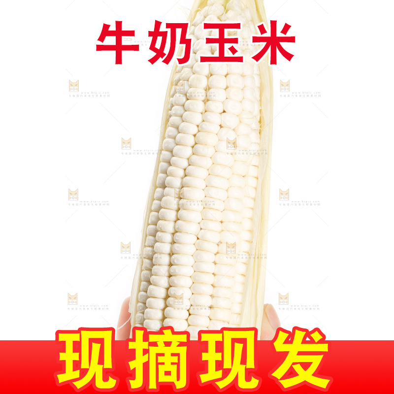 手里拿着白玉米