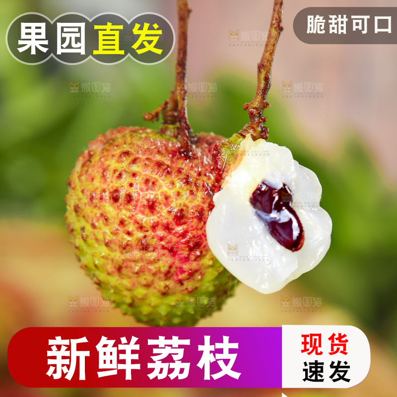 手里拿着妃子笑荔枝
