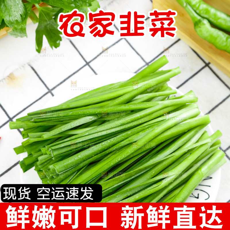 格子底上摆放着农家韭菜