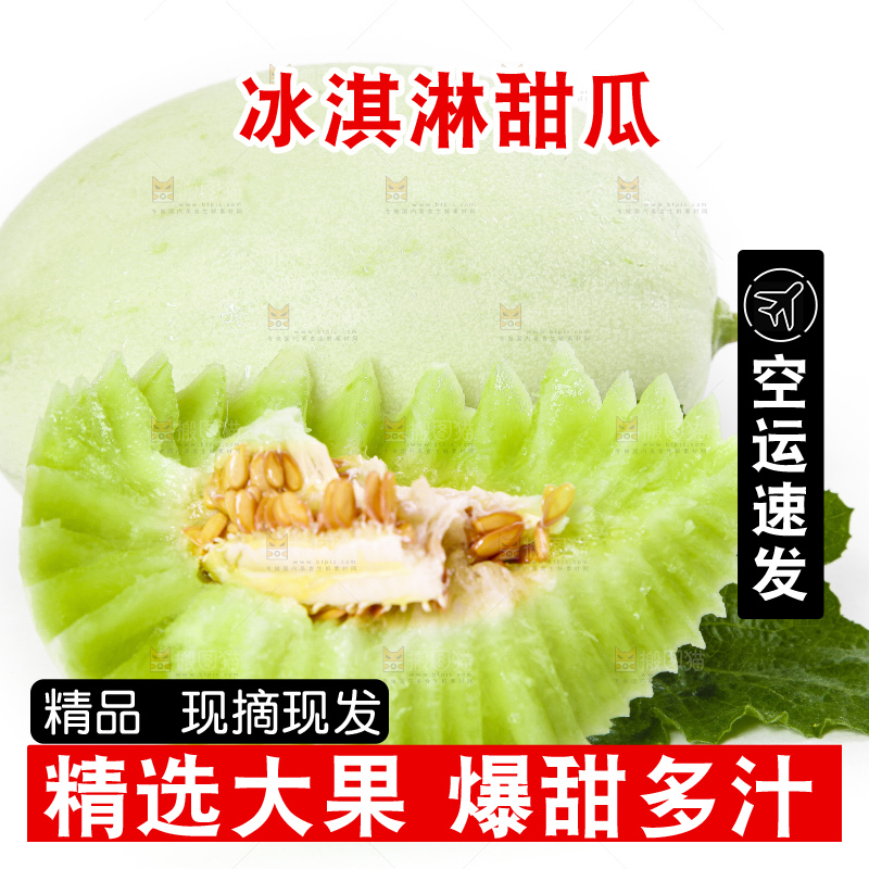 白底上摆放着玉菇蜜瓜