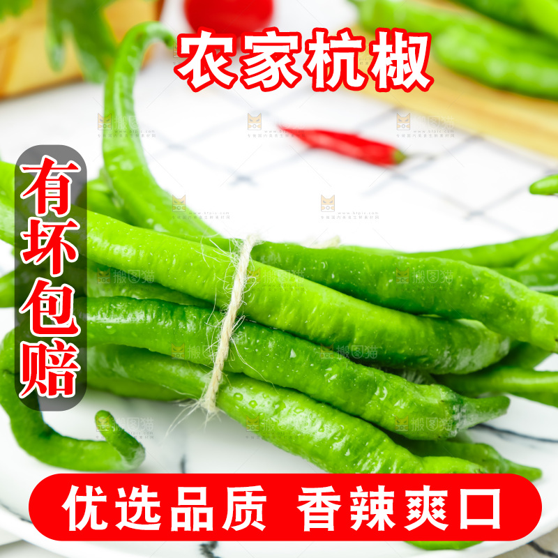 格子底上摆放着杭椒
