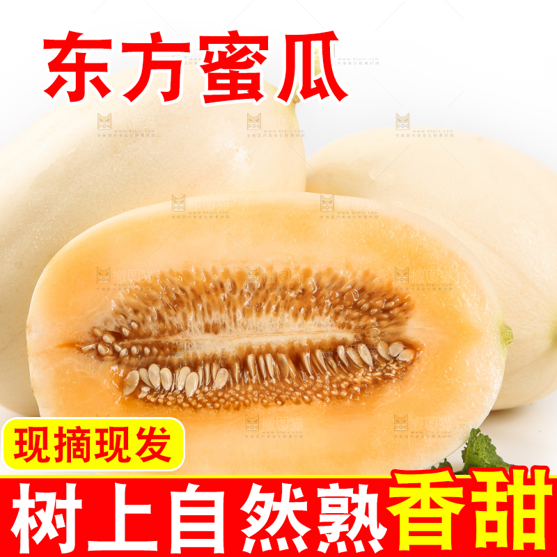 白底上放着东方蜜瓜