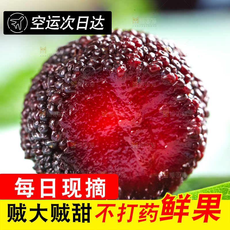 浅底上摆放着杨梅