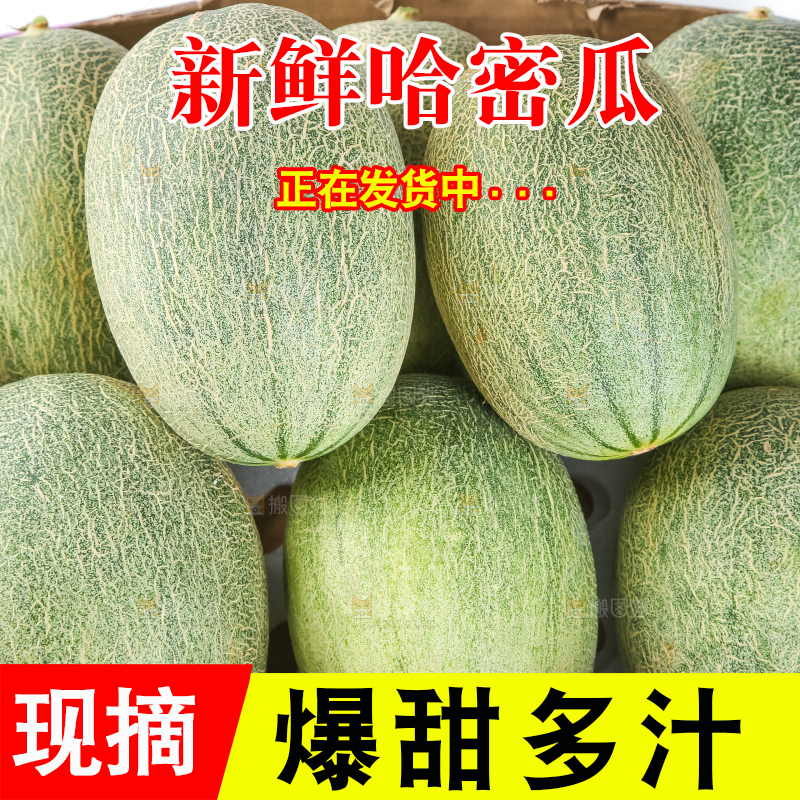 纸箱里装着哈密瓜