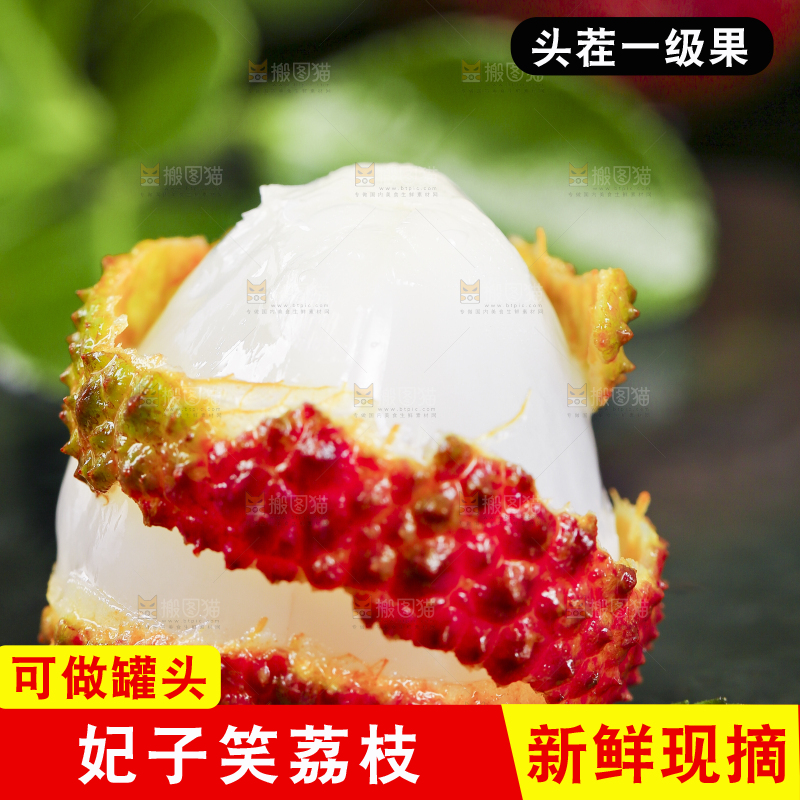 手里拿着高州妃子笑荔枝