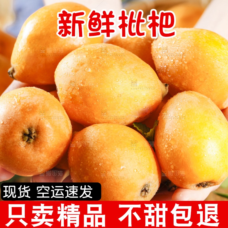 手里拿着高山枇杷