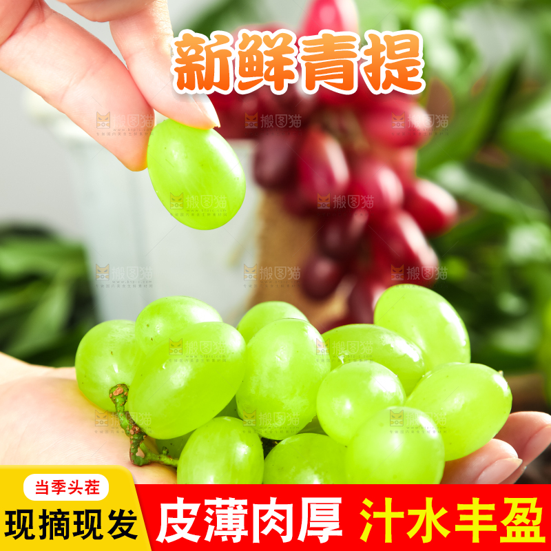 手里拿着青提