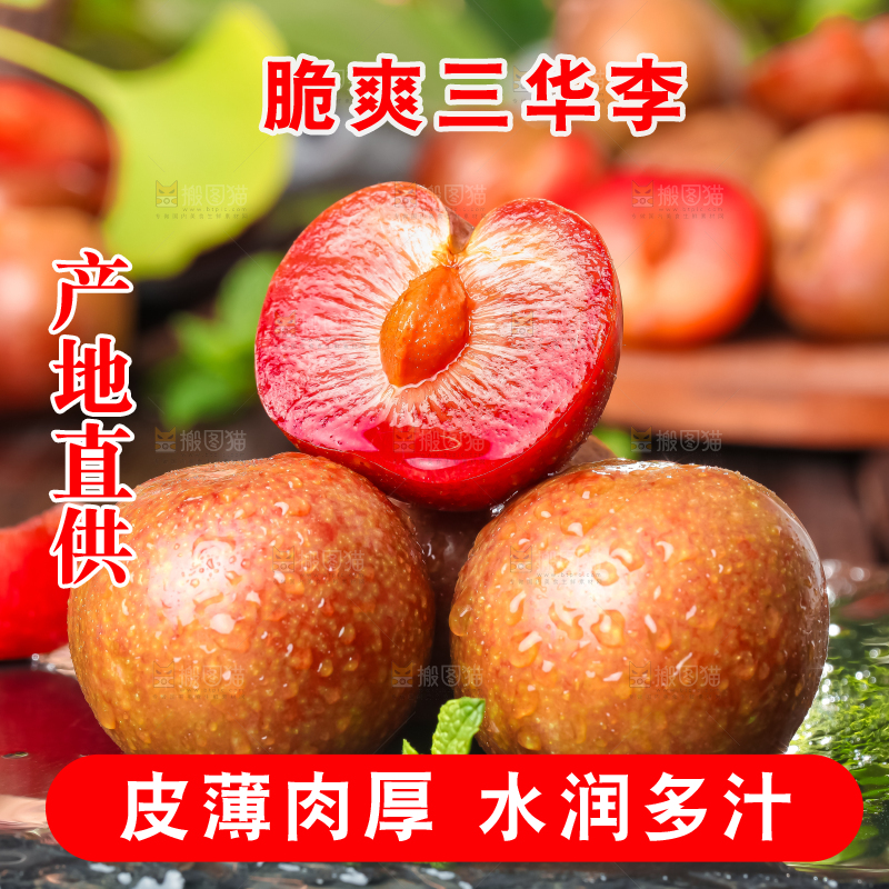 红肉三华李主图