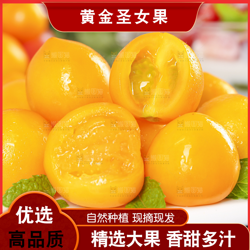 白底上摆放着山东黄金小番茄