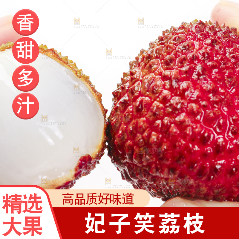 手里拿着新鲜妃子笑荔枝