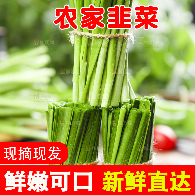 黑石上摆放着嫩韭菜