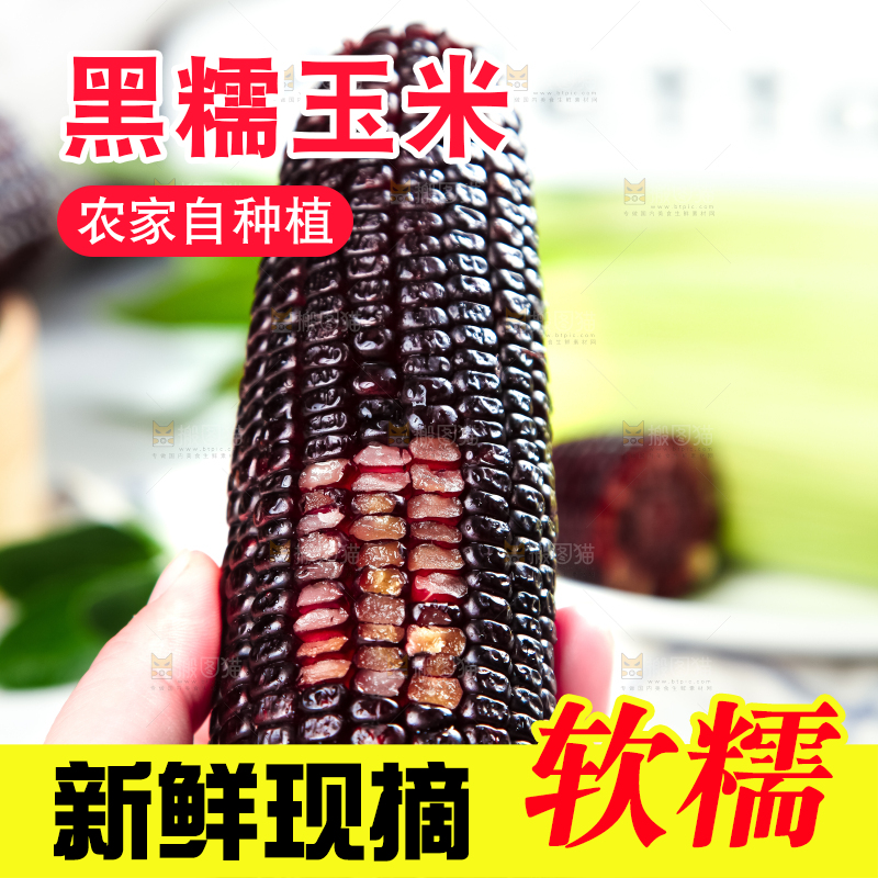 手里拿着紫黑玉米
