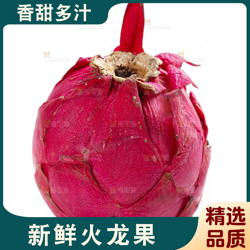 白底上的金都一号火龙果