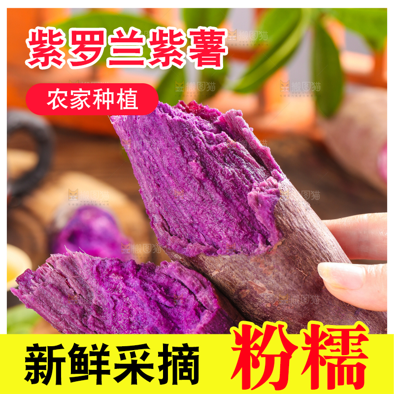 手里拿着紫番薯
