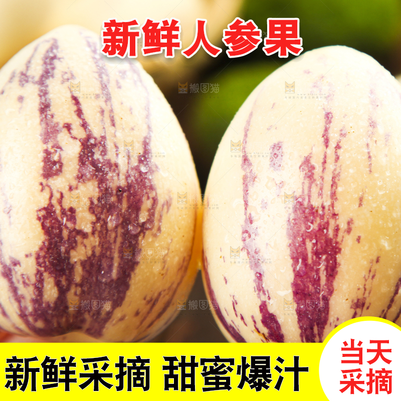 手里拿着人参圆果