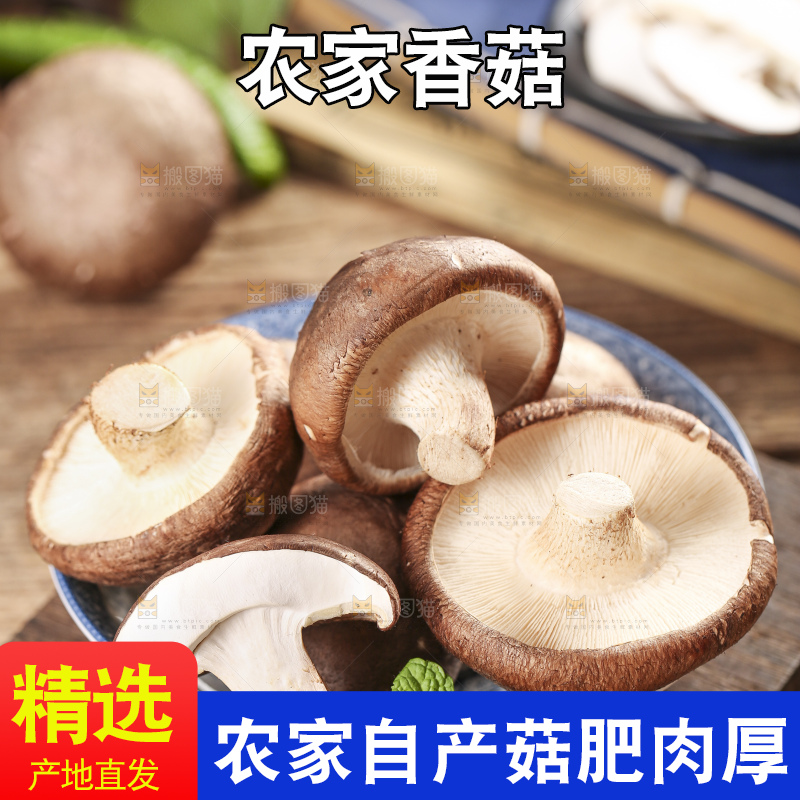 碟子里装着新鲜香菇