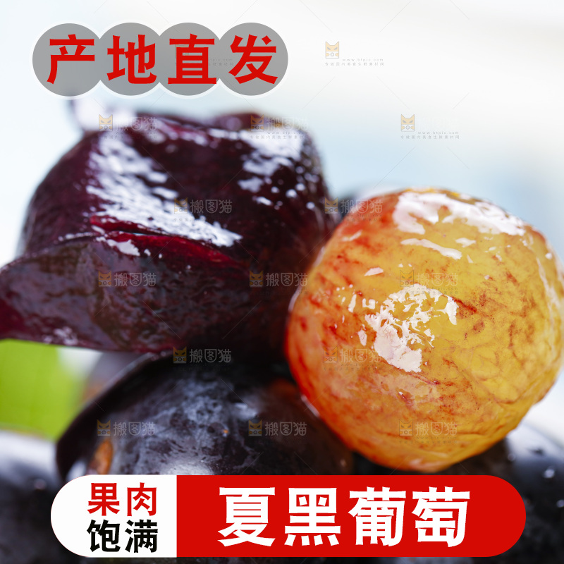 手里拿着云南夏黑葡萄