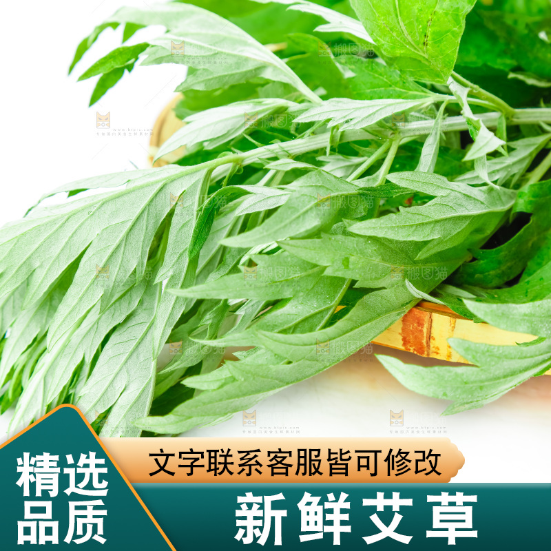 白底上放着艾草叶