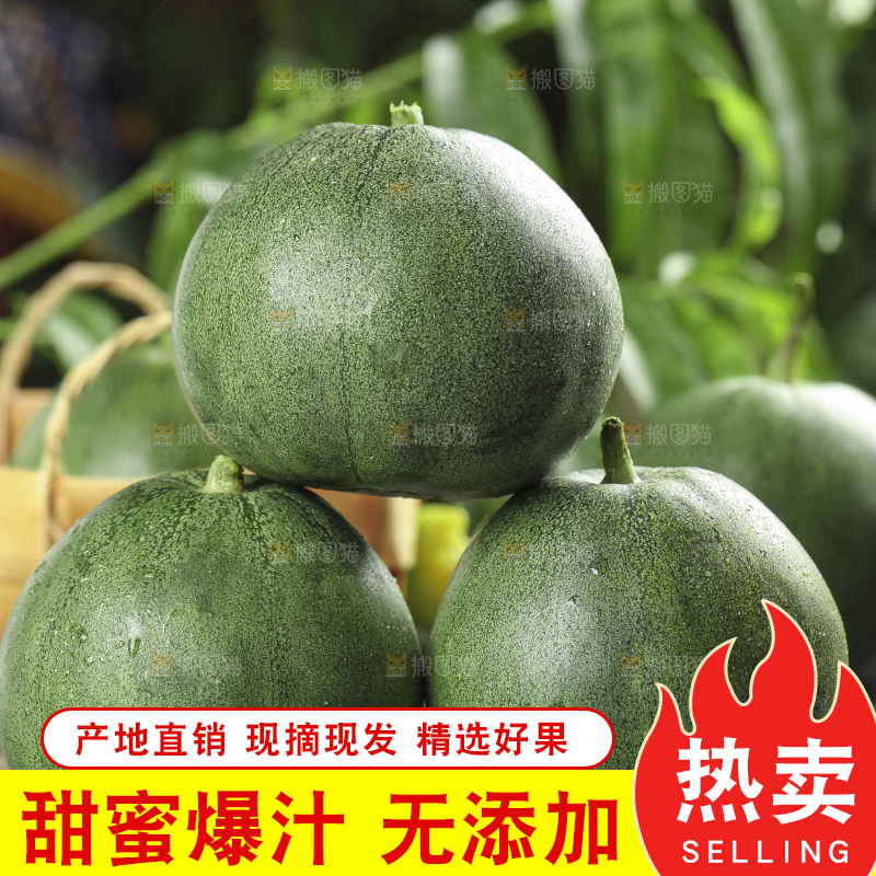 黑底上放着绿宝石瓜