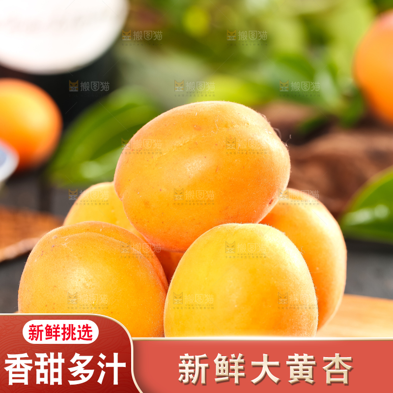 木底上摆放着秦岭头茬大黄杏