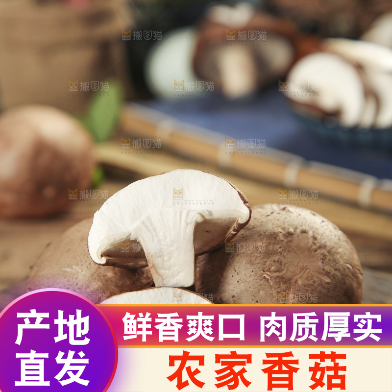 木底上摆放着湖北香菇
