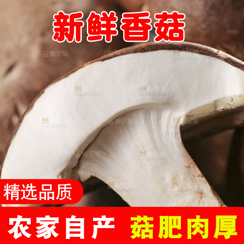 碟子里装着新鲜香菇