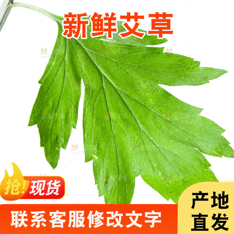白底上放着艾草叶