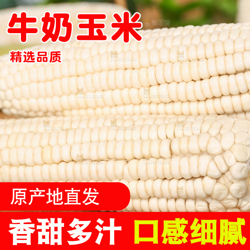 木板上摆放着漳州牛奶玉米