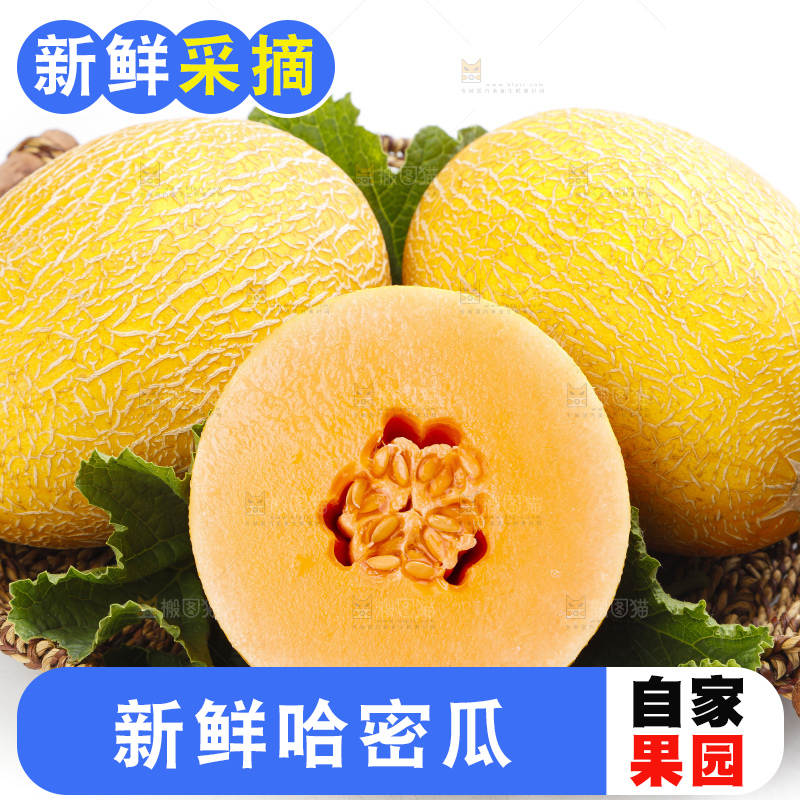 篮子里装着冰火蜜瓜
