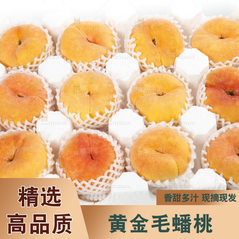 箱子里的蒙阴毛蟠桃