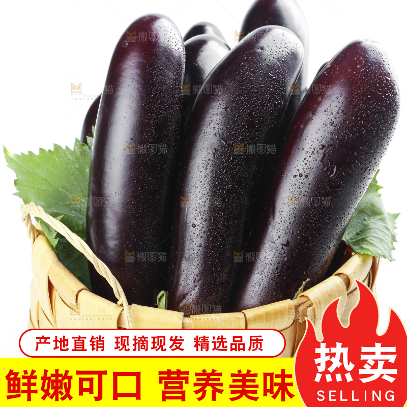 篮子里装着紫茄子