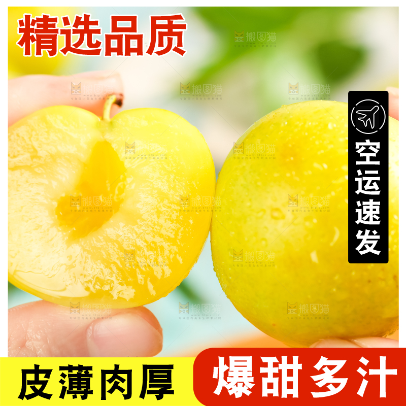 手里拿着新鲜黄金奈李