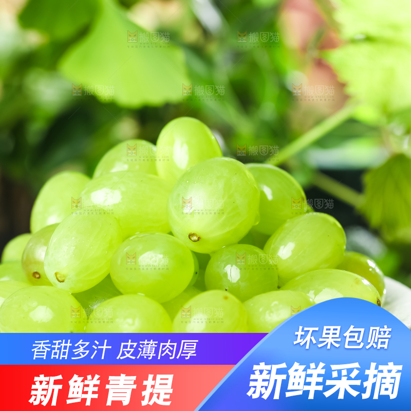 盘子里装着青提