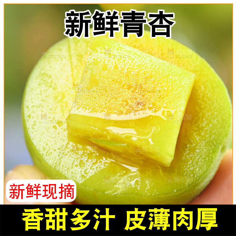 手里拿着脆酸青杏