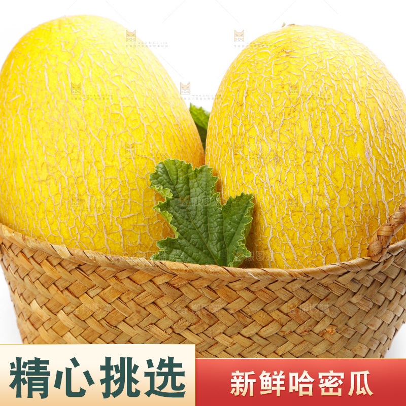 篮子里装着黄皮哈密瓜