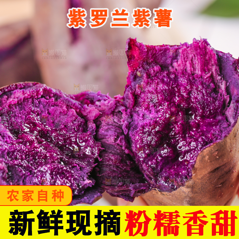 浅底上的板栗紫薯