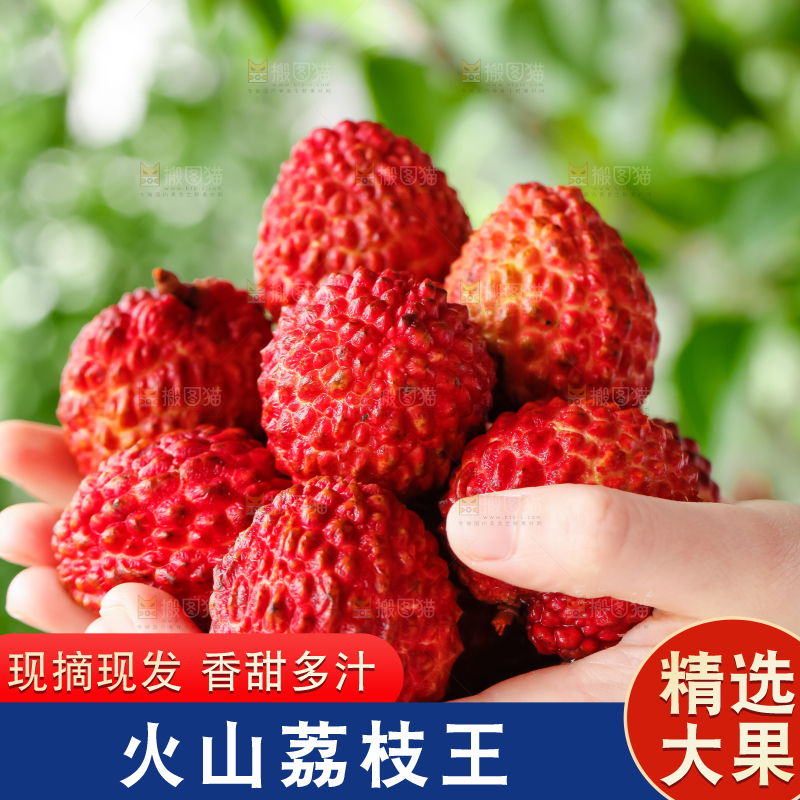手里捧着一把荔枝