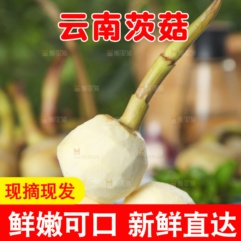 盘子里装着白慈菇