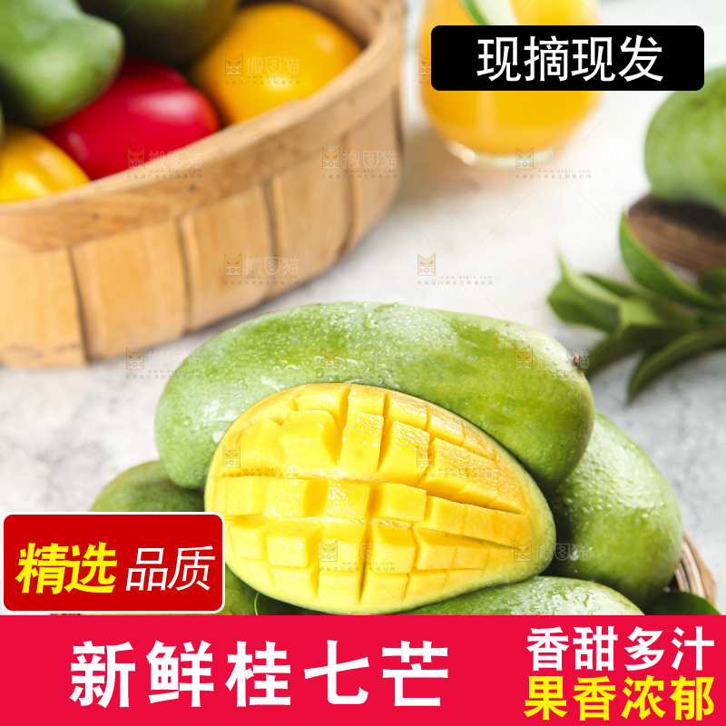 篮子里装着田东桂七芒